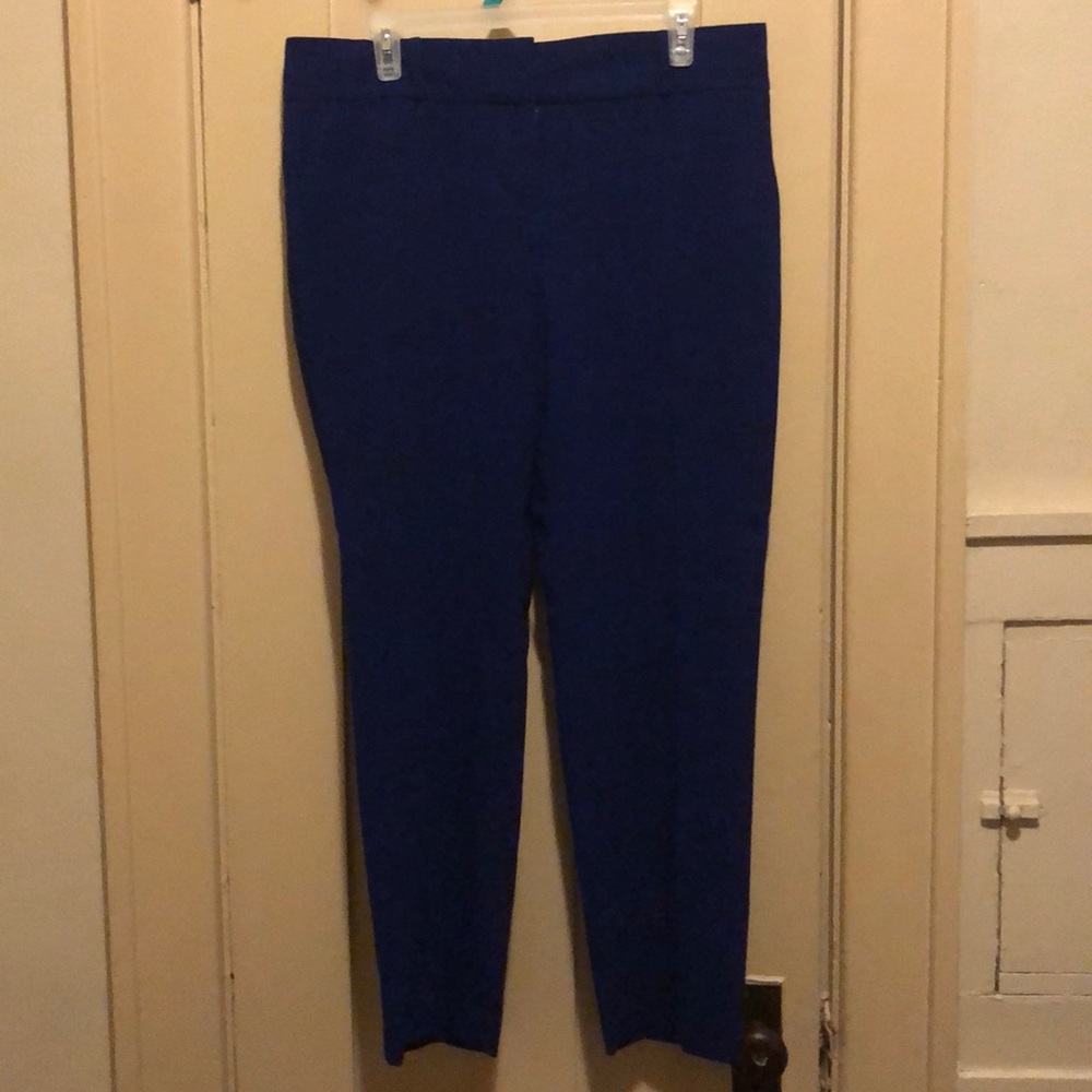 Blueberry bottoms